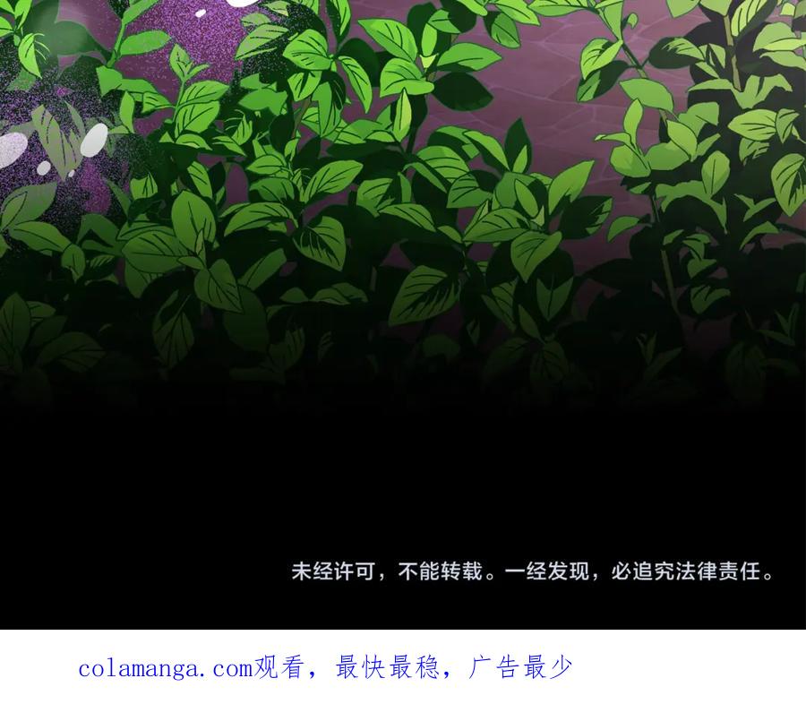 第223页