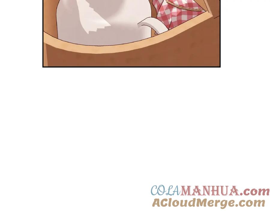 第233页