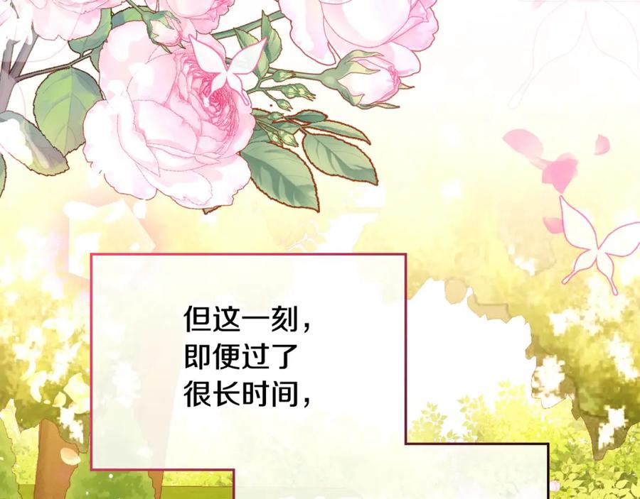 第228页