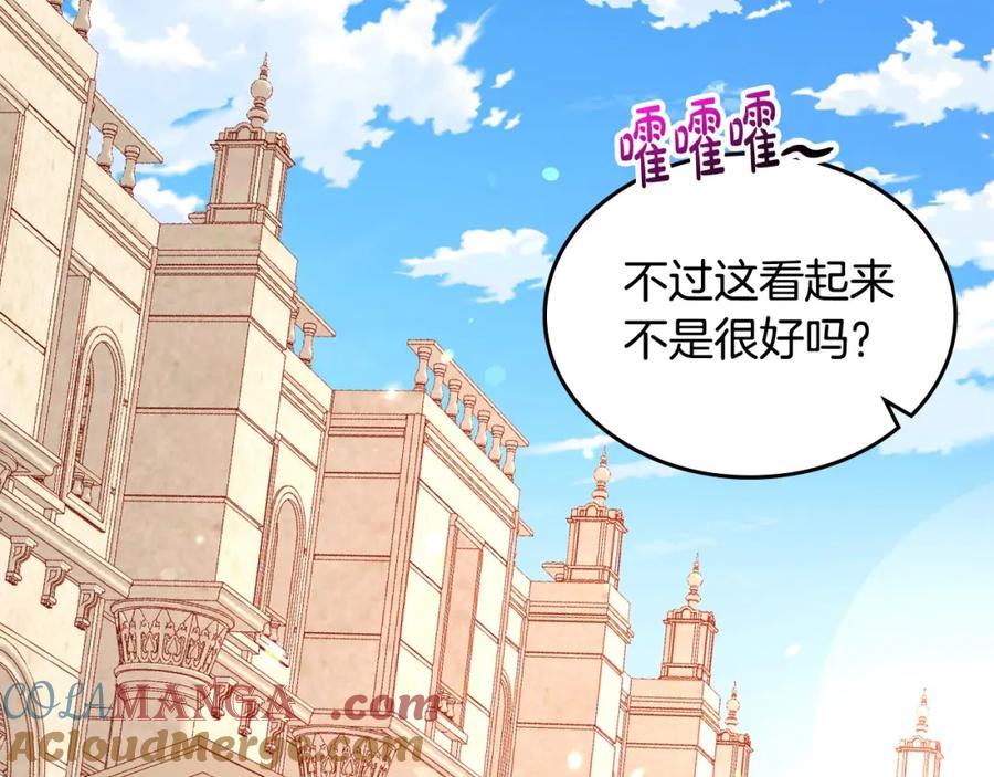 第243页