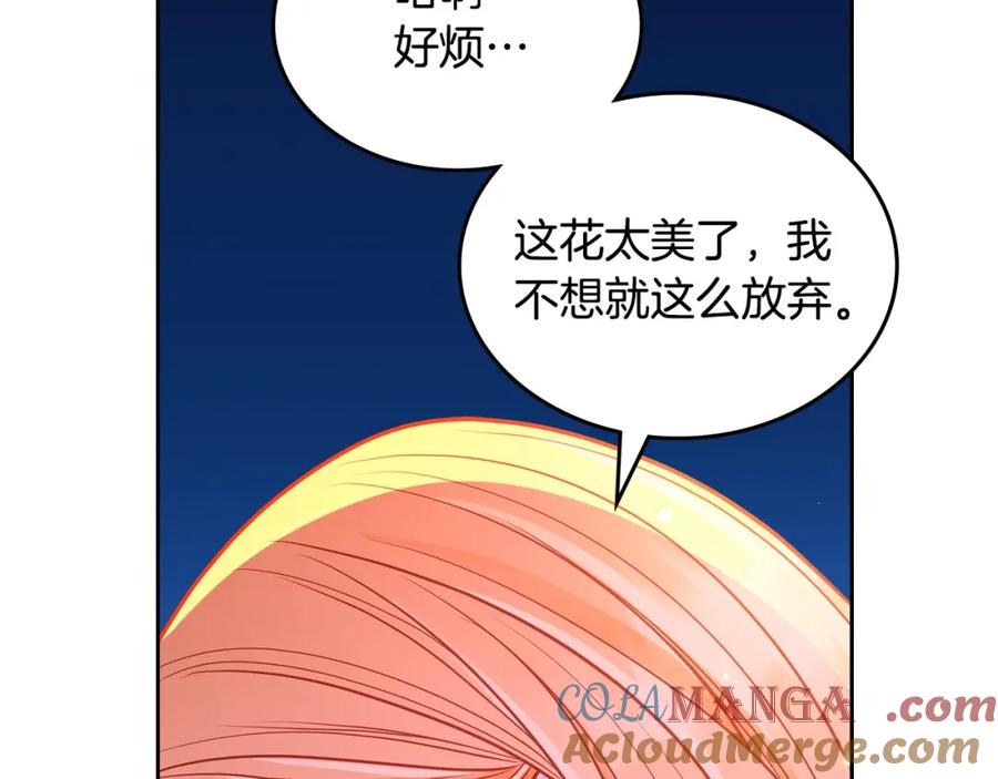 第217页