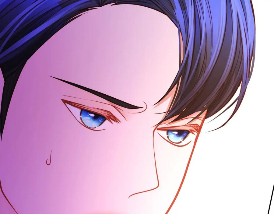 第223页