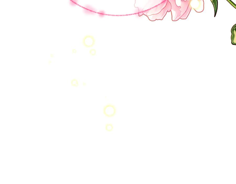 第244页