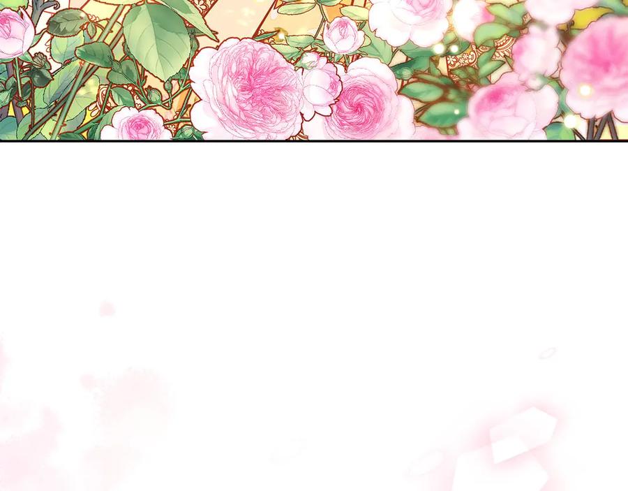 第247页