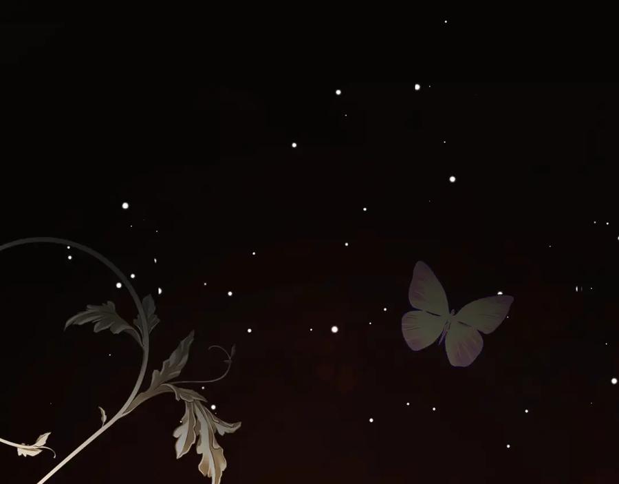 第204页