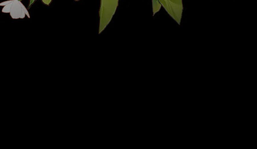 第232页