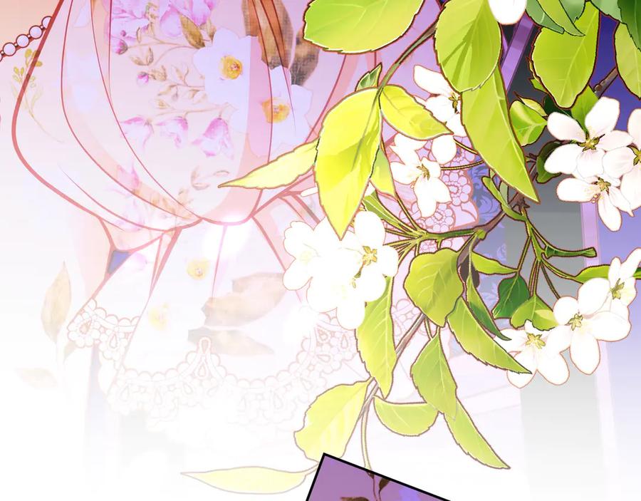第243页