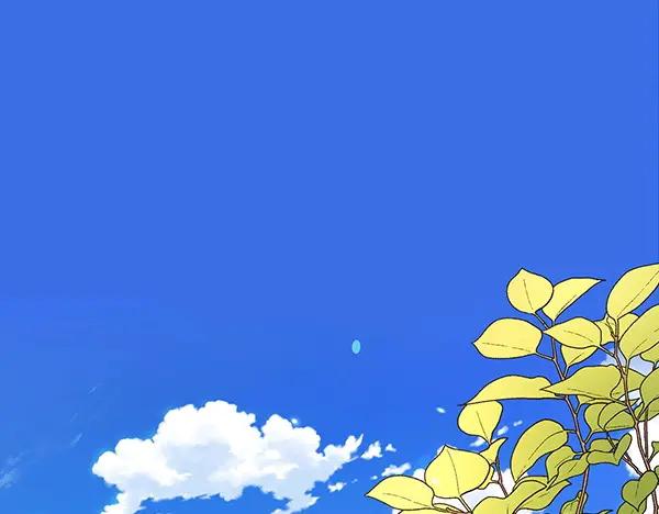 第223页