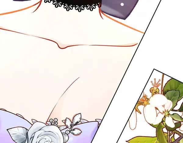 第294页