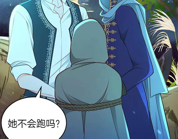 第204页