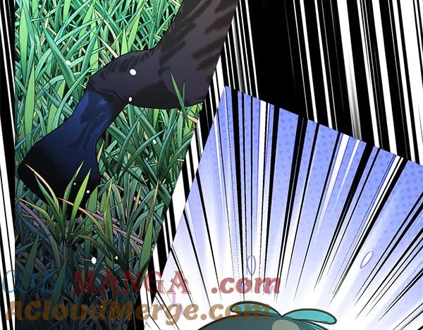 第293页