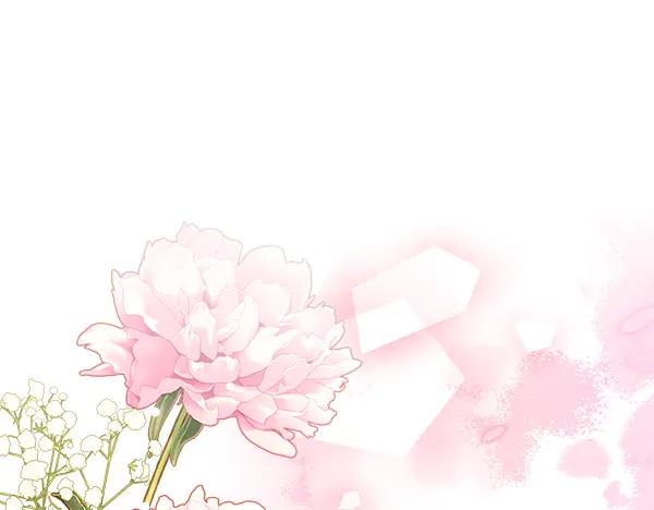 第206页