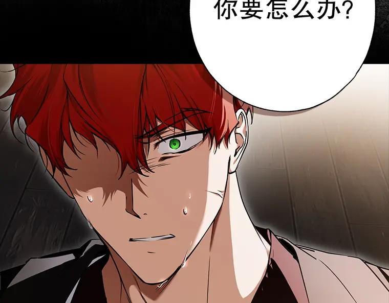 第184页