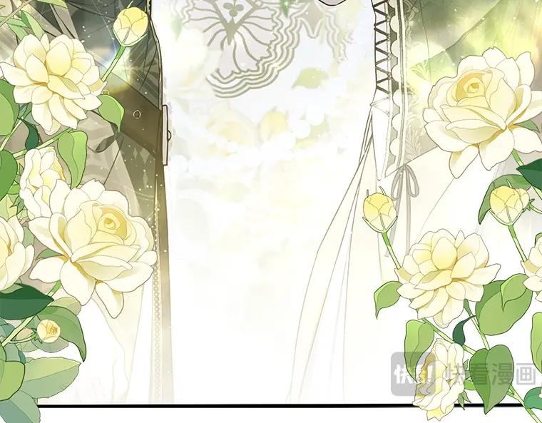 第243页