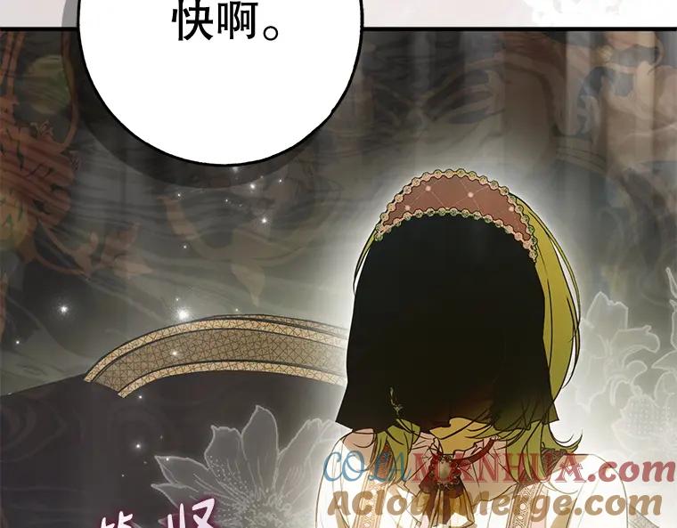 第213页
