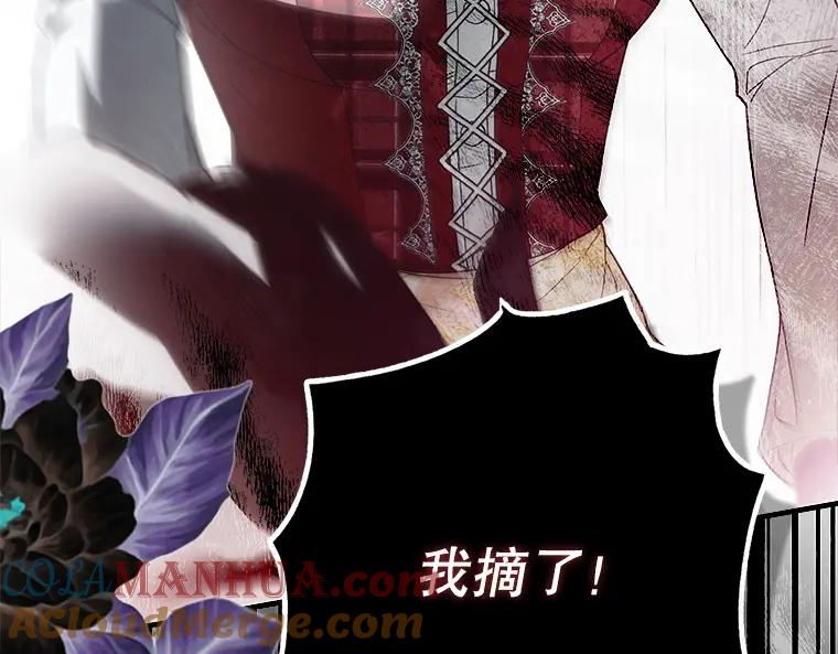 第229页