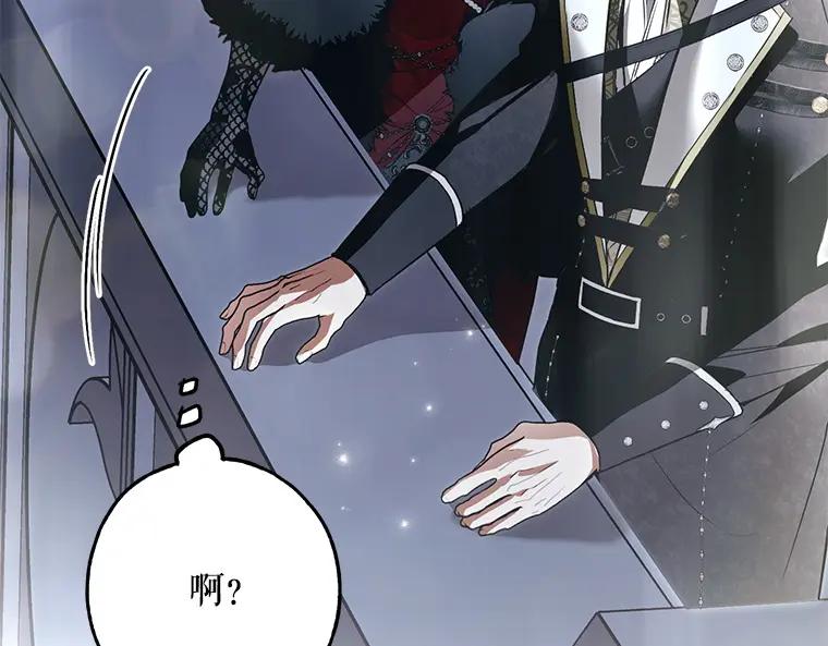 第207页