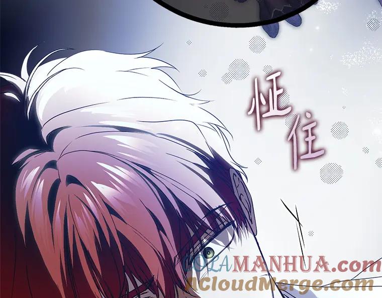 第221页