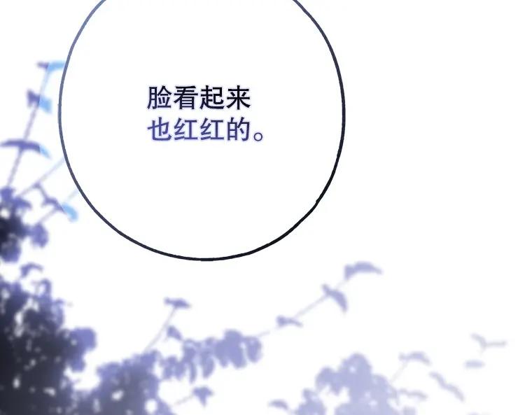 第215页