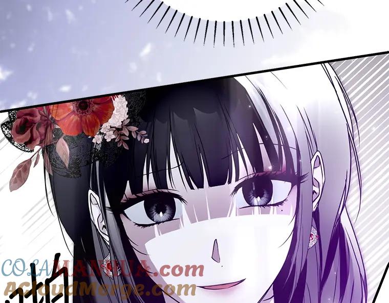 第217页