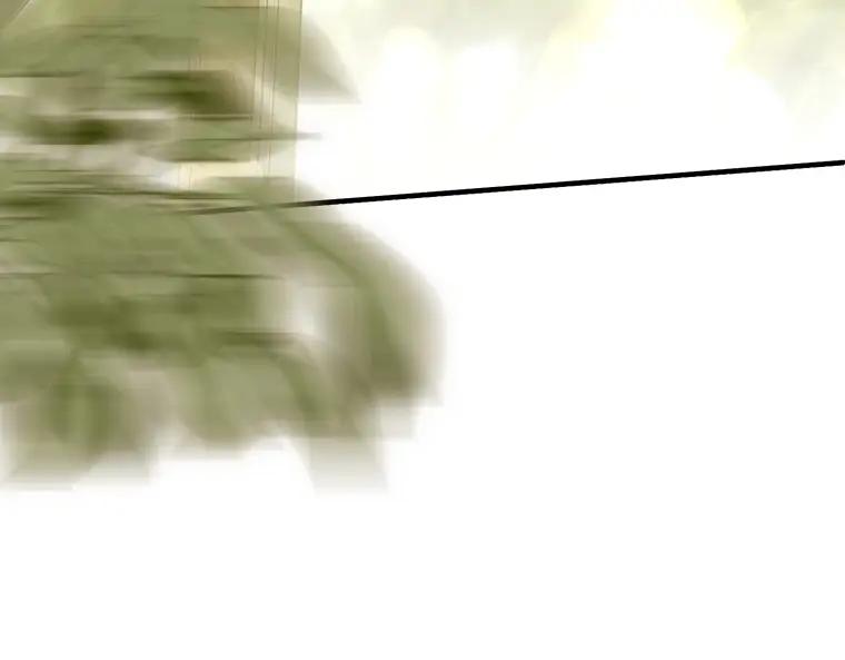 第255页