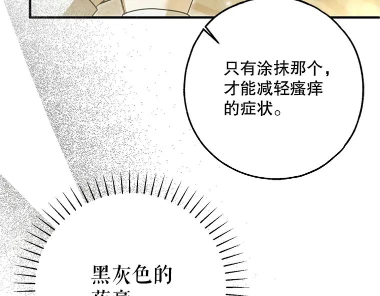 第242页