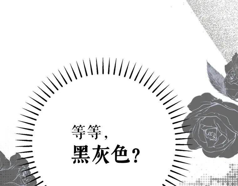 第244页