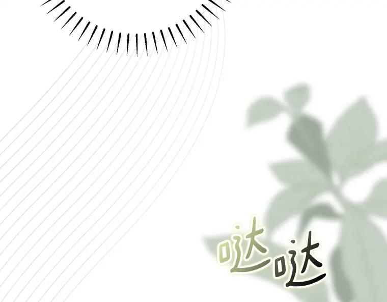 第223页