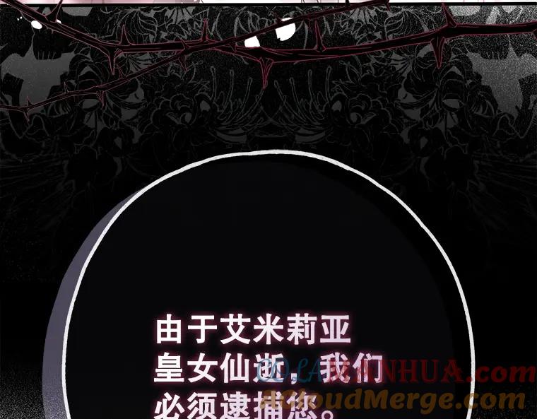 第273页