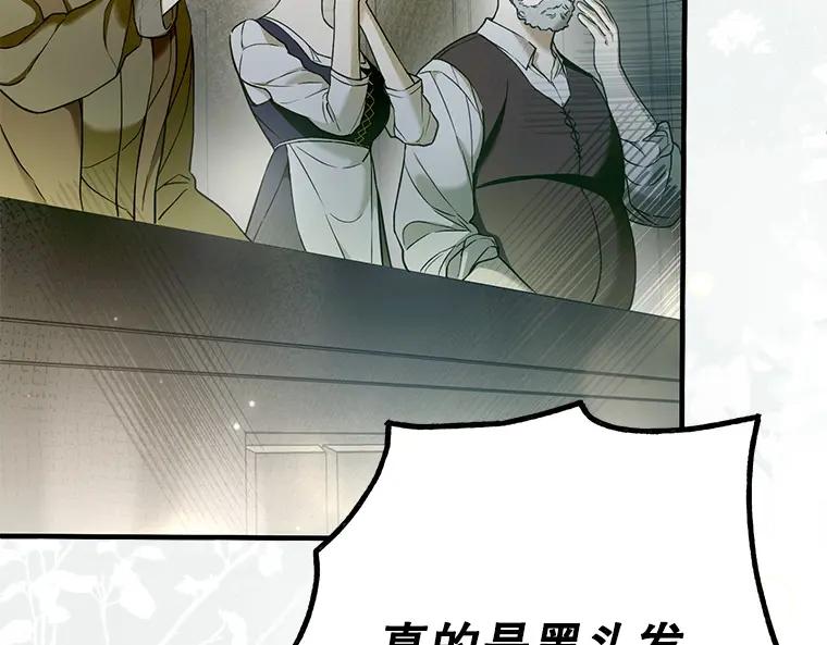 第223页