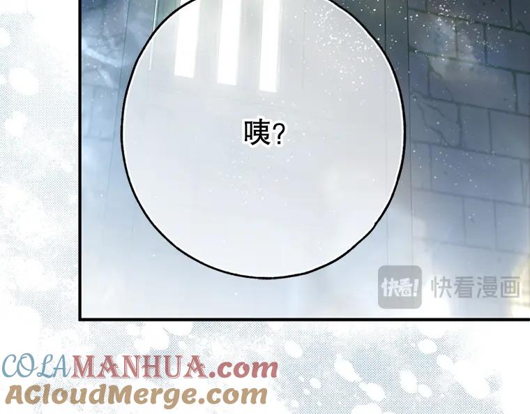 第217页