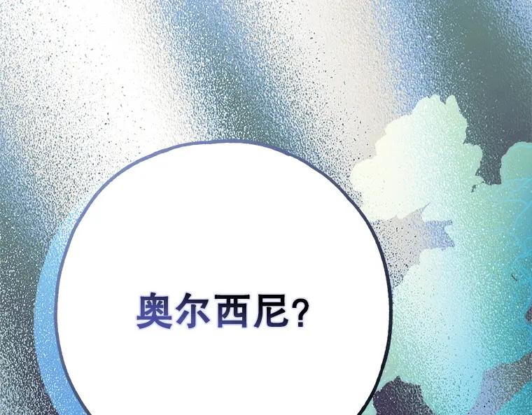 第223页