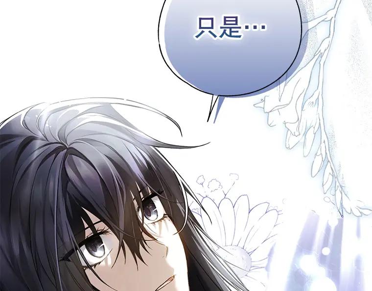 第242页