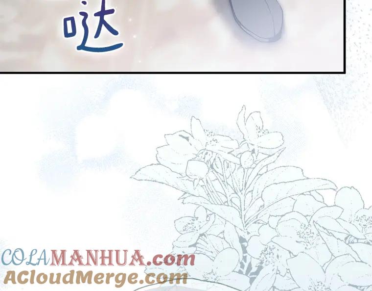 第217页