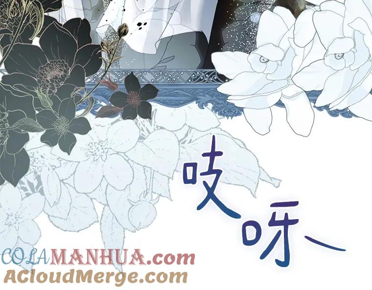 第221页