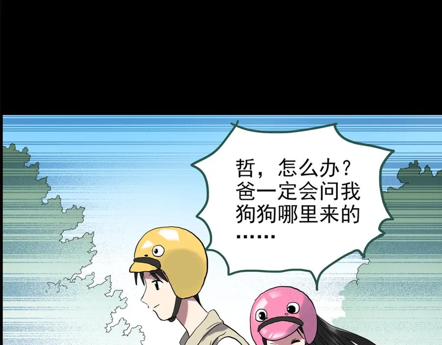 第55页