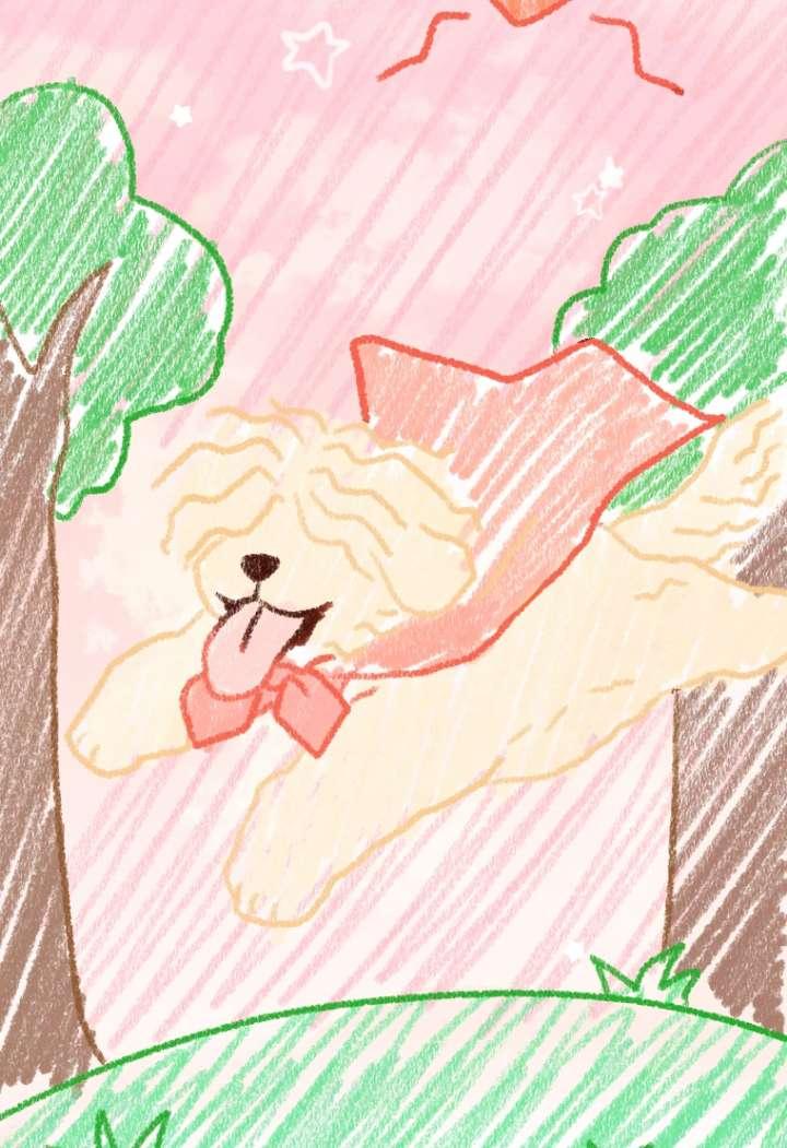 第80页