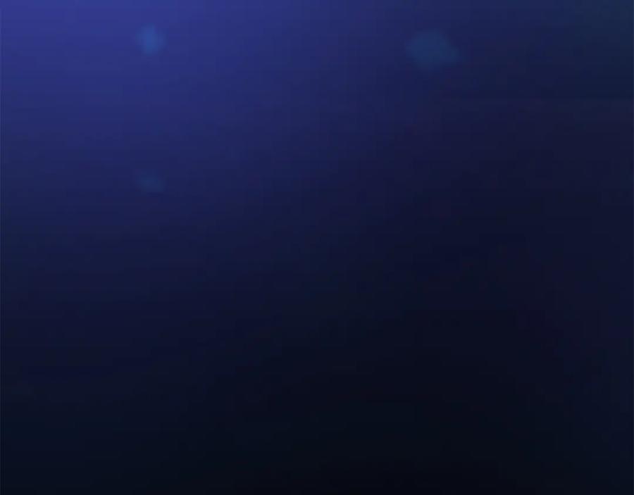 第238页