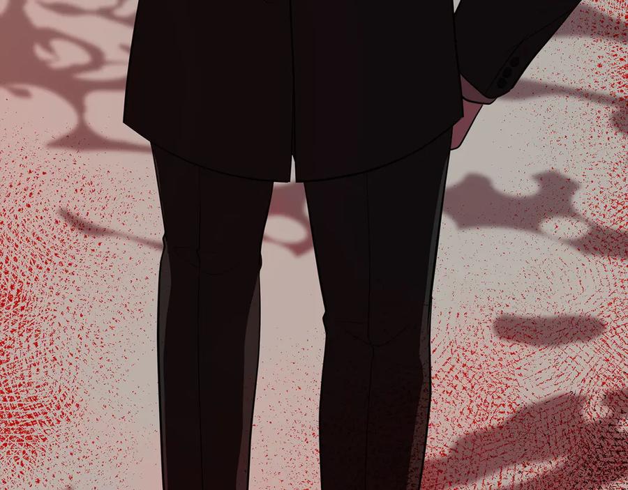 第251页