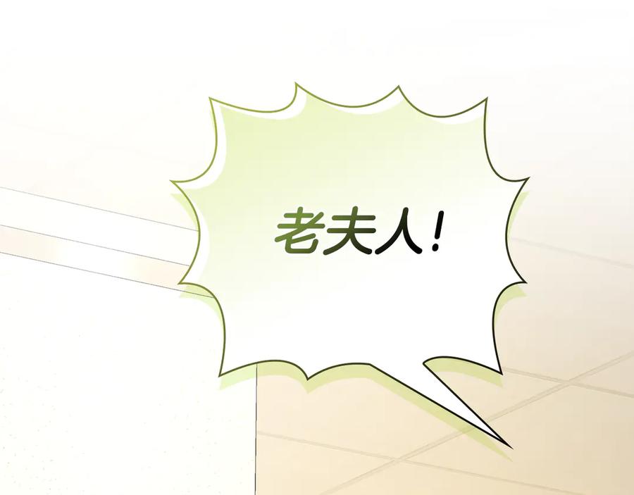 第244页