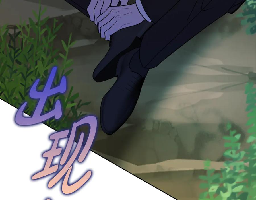 第215页