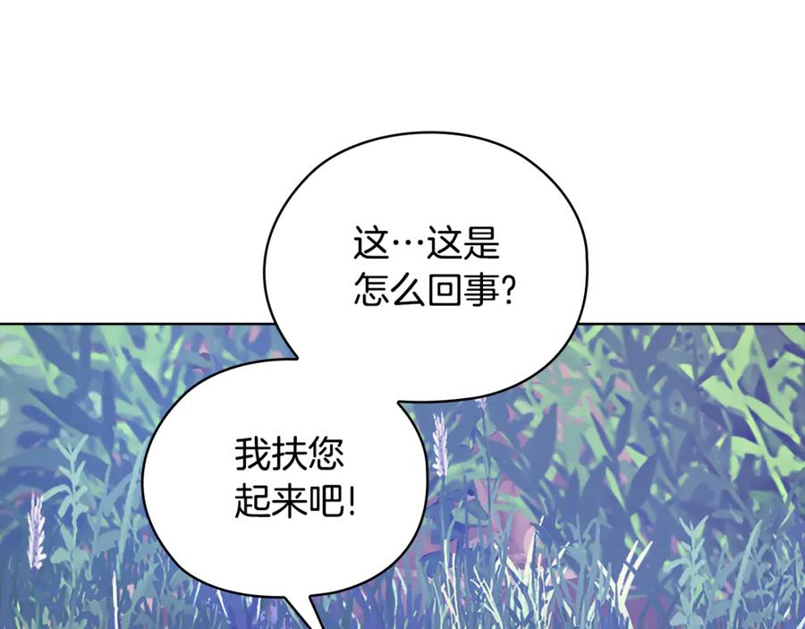 第231页