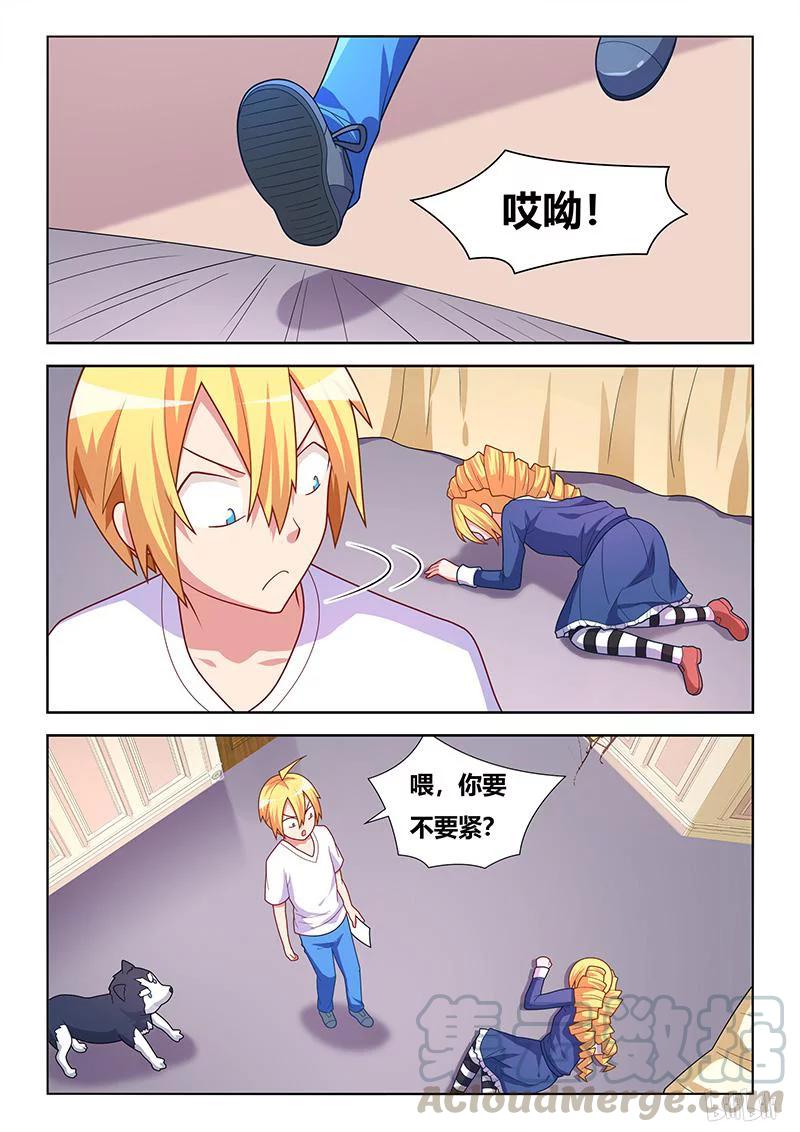 第5页