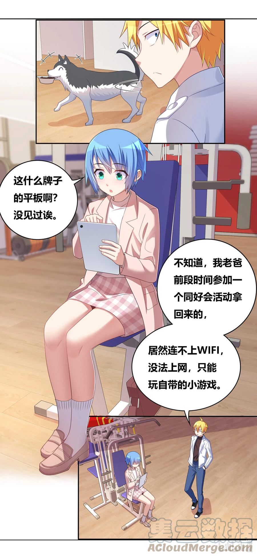 第5页