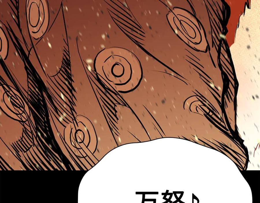 第206页
