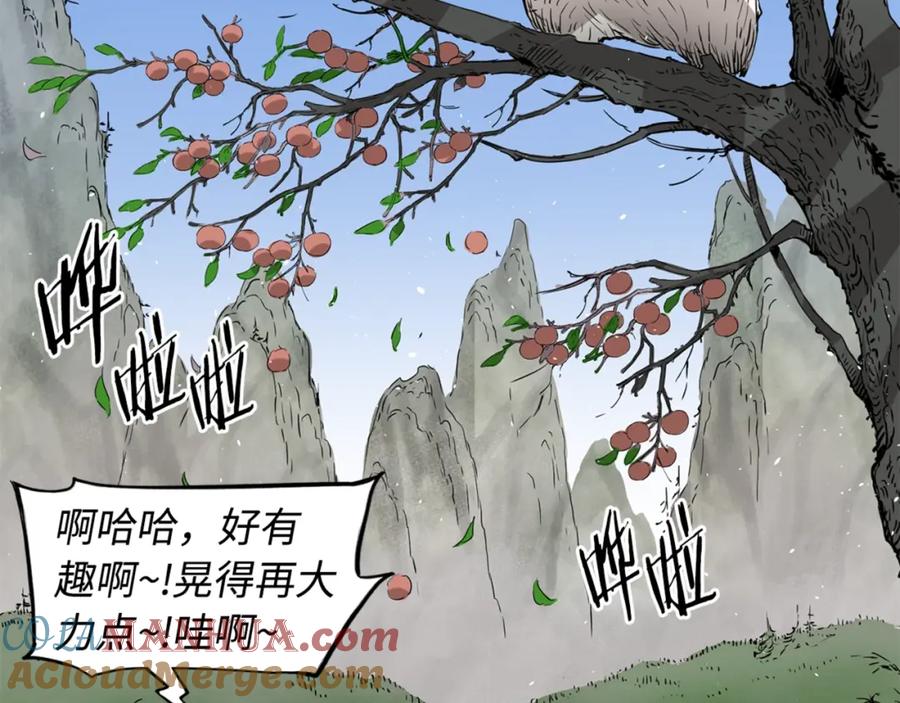 第113页