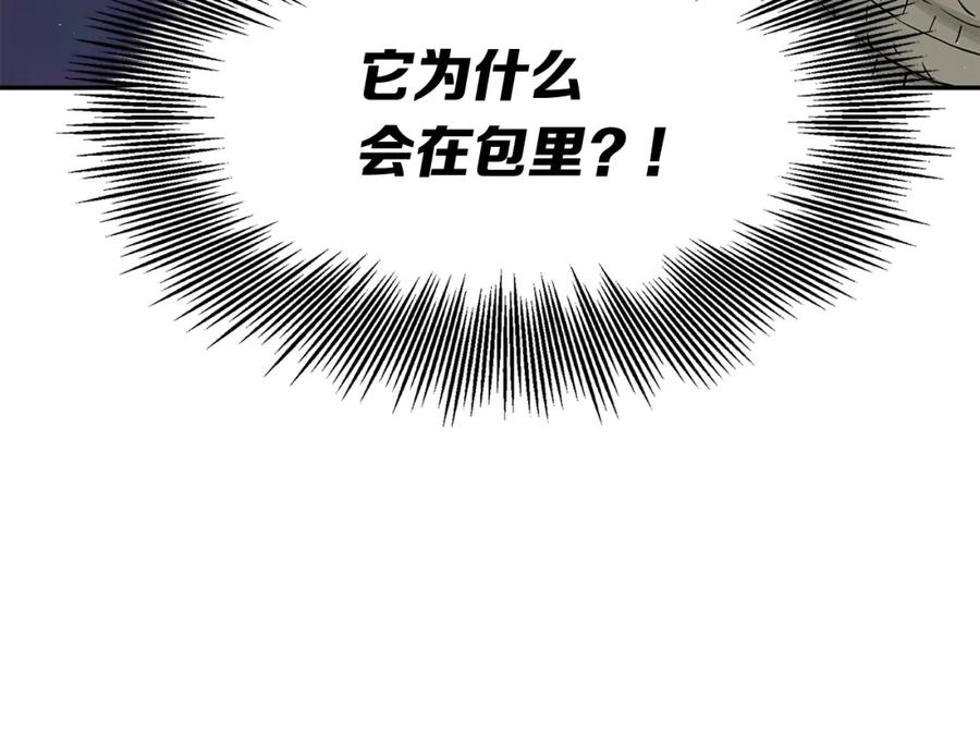第244页