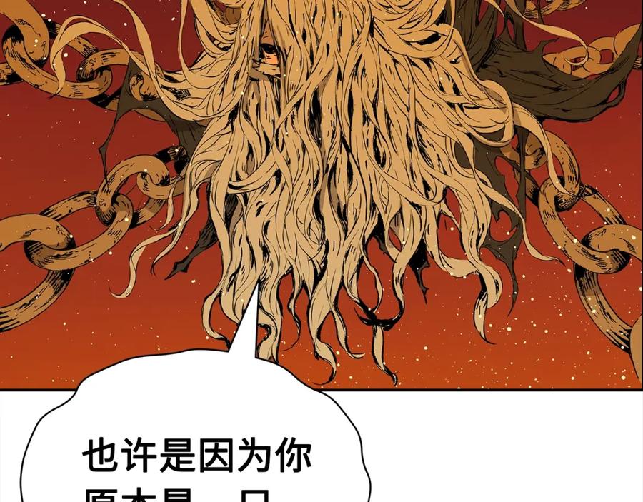 第216页