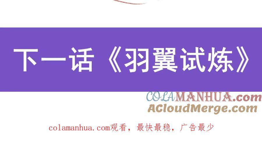 第247页