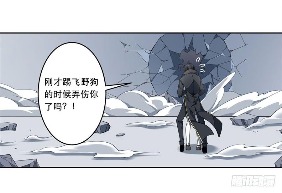 第47页